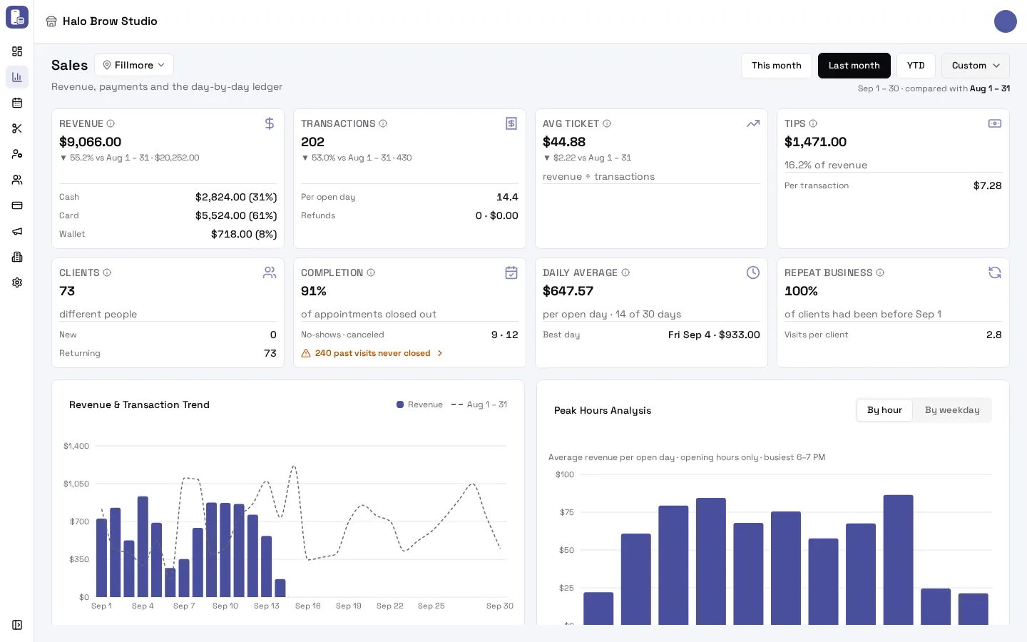 The Sales report for last month: eight tiles, the revenue trend and peak hours